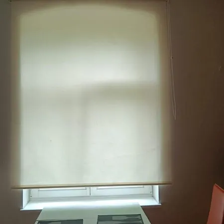 Bright And Cozy Center 1 Bedroom Ap, Free Parking! Lejlighed *