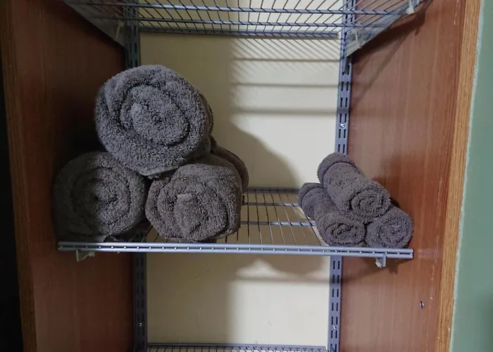 Bright And Cozy Center 1 Bedroom Ap, Free Parking! Appartement